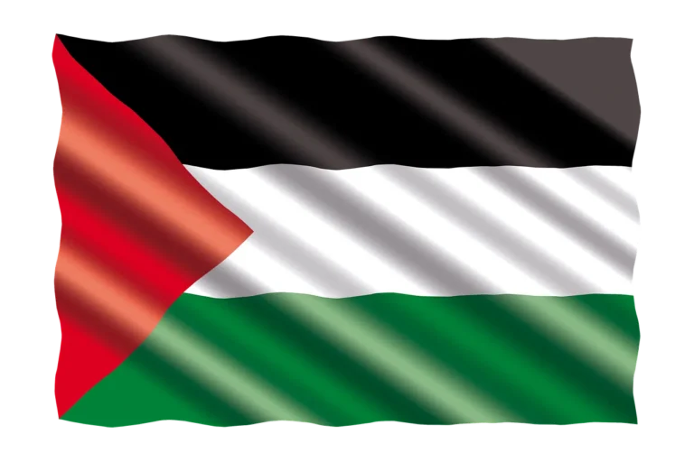 Palestine: A Humanitarian Catastrophe in the 21st Century 8 Palestine Flag